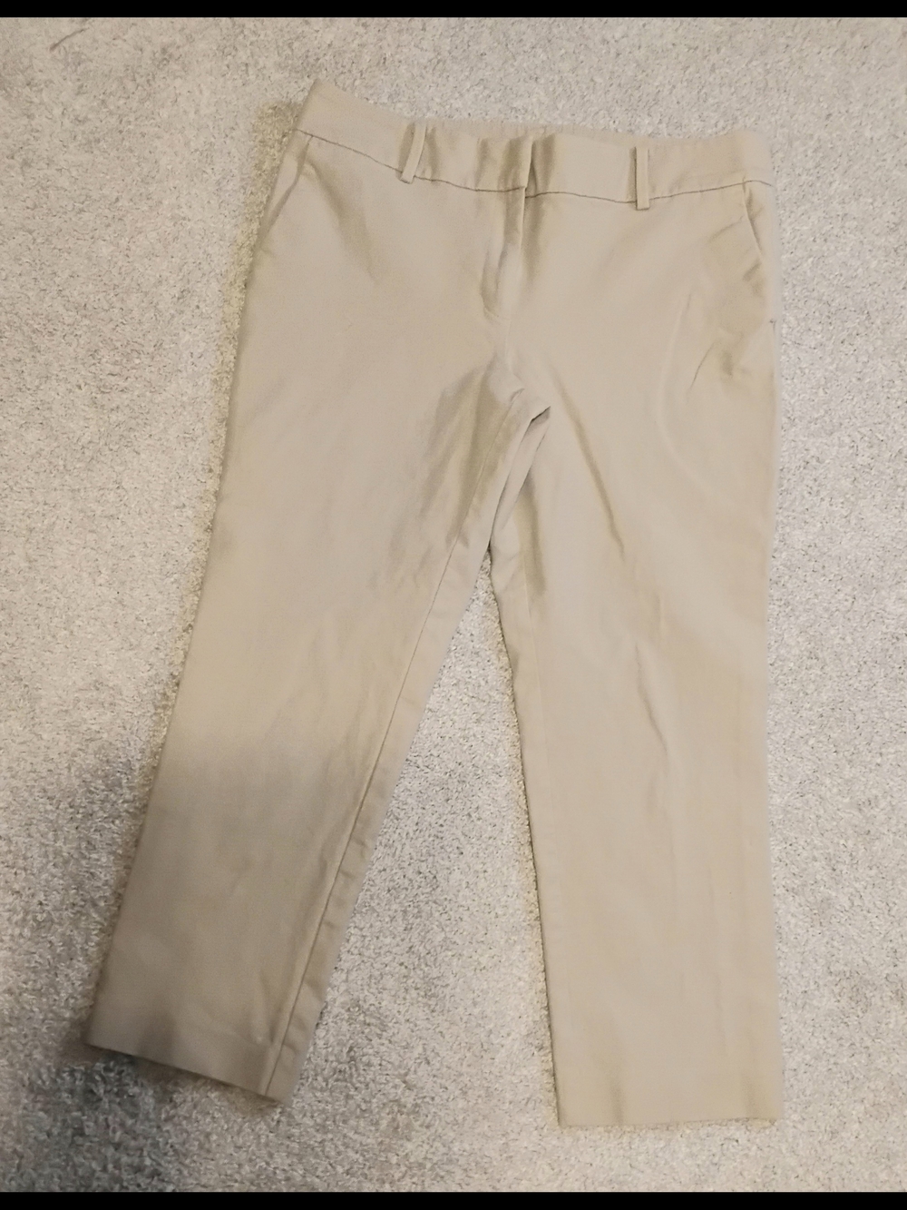 Ann Taylor Beige Petite Trousers